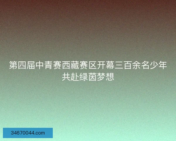 第四届中青赛西藏赛区开幕三百余名少年共赴绿茵梦想